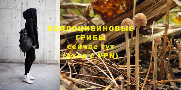 индика Беломорск