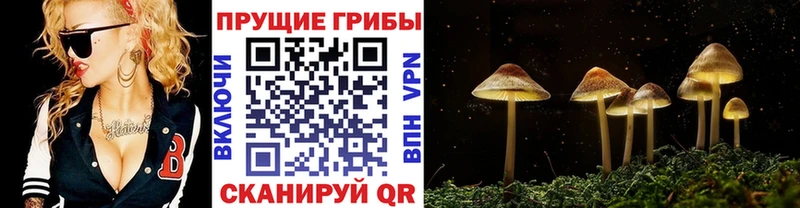 Галлюциногенные грибы ЛСД  Тихорецк 